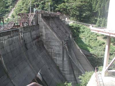 �V���J�_�����E�݂���