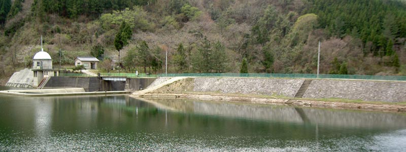 ‰EŠÝã—¬‘¤‚©‚ç’ç‘Ì