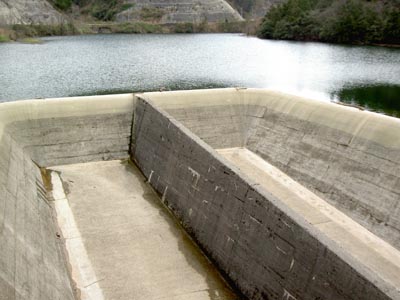 Ž©—R‰z—¬Ž®^…“f