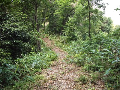 狭い尾根を伝っていきます