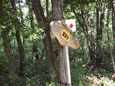 ここで展望台へ分岐しているのです