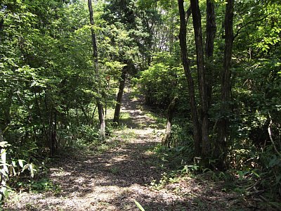 ここは下りになっています