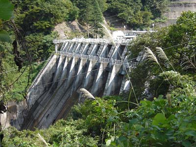 主堤体を左岸より
