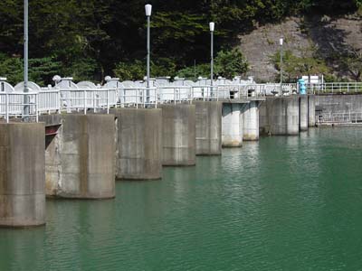 上流側から堤体を望む