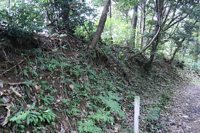 大きな土塁がありますが、当時の遺構でしょうか