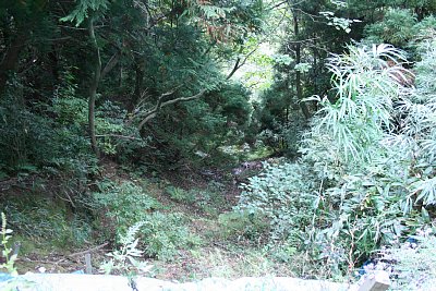 大きな谷ですが竪堀でしょうか・・・