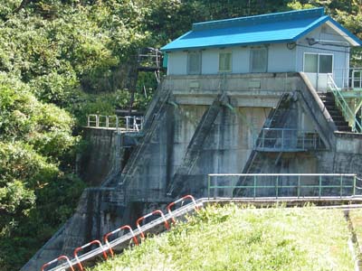 ���������猩�����