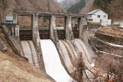 �o�Z�_���S�i