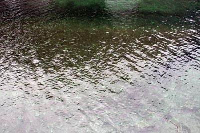 �_���΂̐��͒ꂪ�����ʂ��Č�����قǂł�