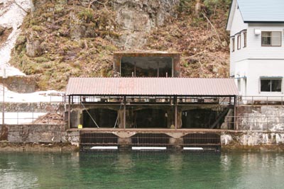 �������d���ւ̎搅��