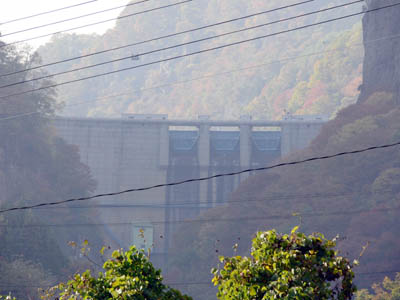 ���ԃ_���S�i