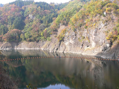 �_���΂͐��Ԍ΂Ɩ��t�����Ă��܂�