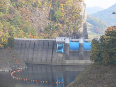 ��̂��������猩��