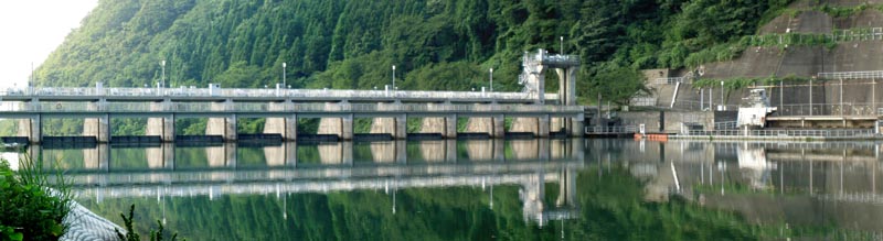 �㗬����̃p�m���}