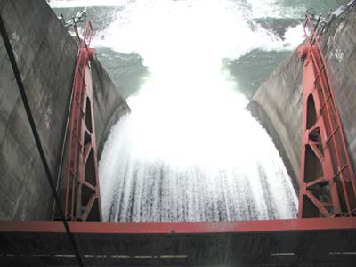 ���W�A���Q�[�g����̕���