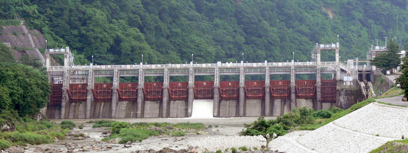 ��������̑S�i