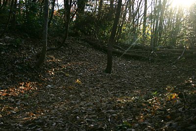 土塁で大手道が曲がりくねっている様子がわかります