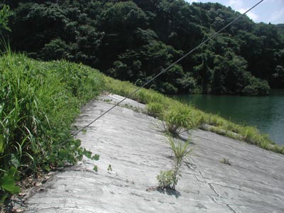 ���˃_����̏㗬��