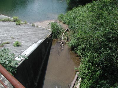 �^���f�㗬��