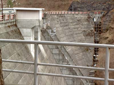 �E�݂��猩�����