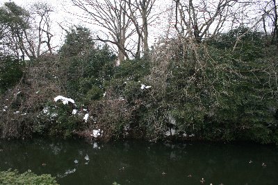 三の丸濠と三の丸土塁
