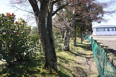 ここには柵が立っていた