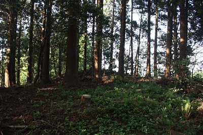 主郭の北側にも櫓台(土塁)があります