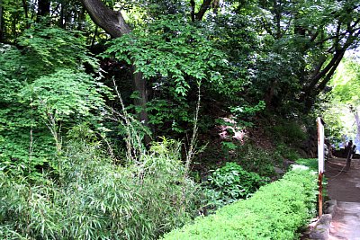 本曲輪を囲む土塁