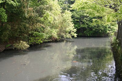 みその橋から見た水堀