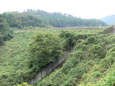 ��g�_���S�i