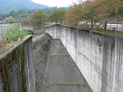 ���ォ��^���f��������