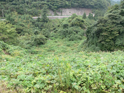 �V�[�ォ�牺����������