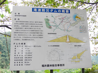 �_���ē���