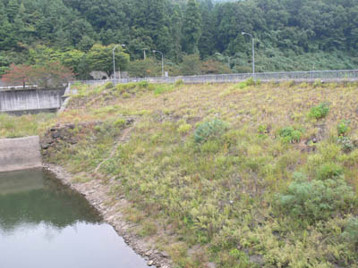 �E�ݏ㗬�����̂�����