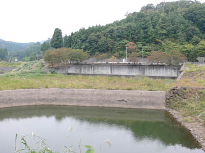 �E�݂���Ί݂�����