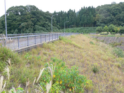 ���݂����̂�����