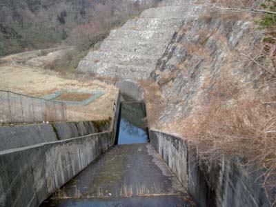 �������ƌ����H