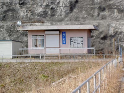 �����_���Ď����͖��l�ł�