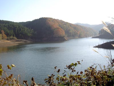 �_���΂ł�