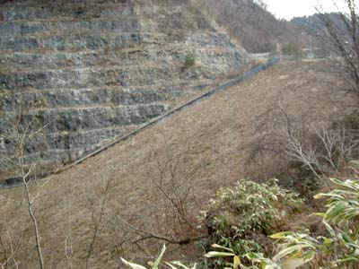 ���݂��牺�������