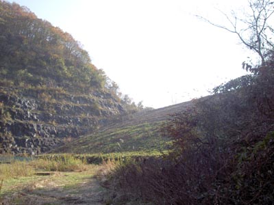 ���������̂�����