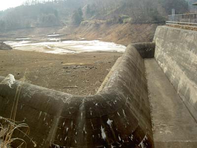 �u���^�̎��R�z�����^���f