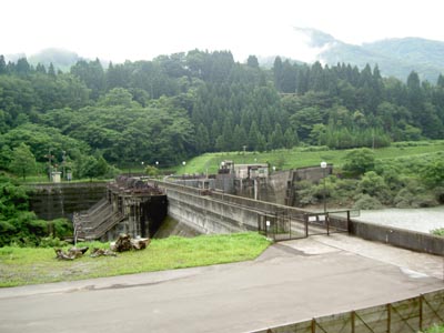 左岸下流から堤体を望む