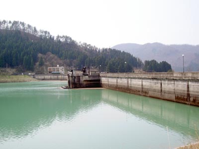 右岸上流から堤体を見る