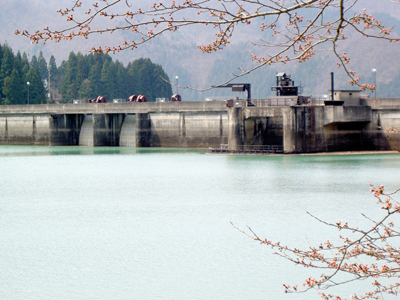 上流から堤体前面を見る