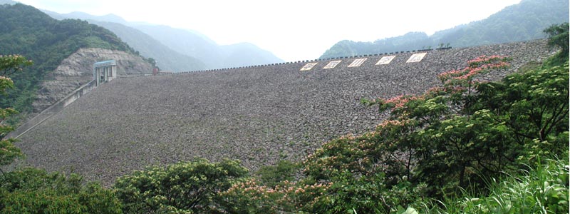 ����_���p�m���}�ʐ^