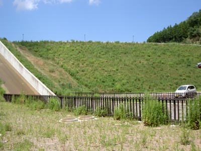 寺田川ダム全景