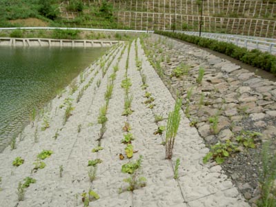 堤体上流側を右岸から見る