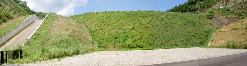 下流側から放流路を見る