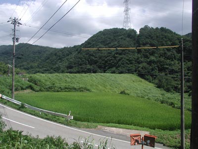 �����_��������